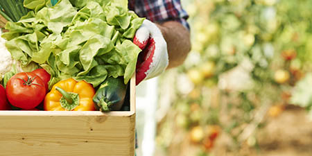 Jardinier portant un cageot de légumes frais